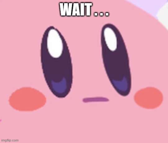 Blank Kirby Face | WAIT . . . | image tagged in blank kirby face | made w/ Imgflip meme maker