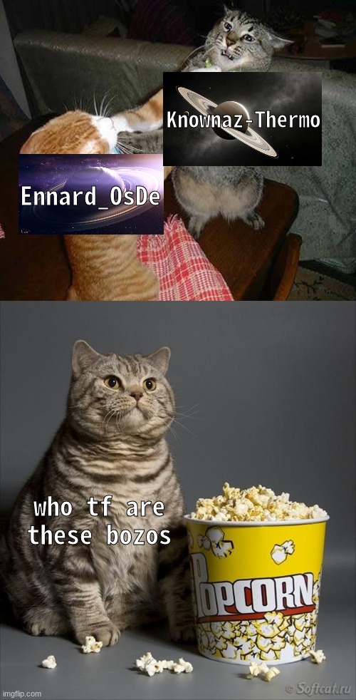add image button | Knownaz-Thermo; Ennard_OsDe; who tf are these bozos | image tagged in cat watching other cats fight | made w/ Imgflip meme maker