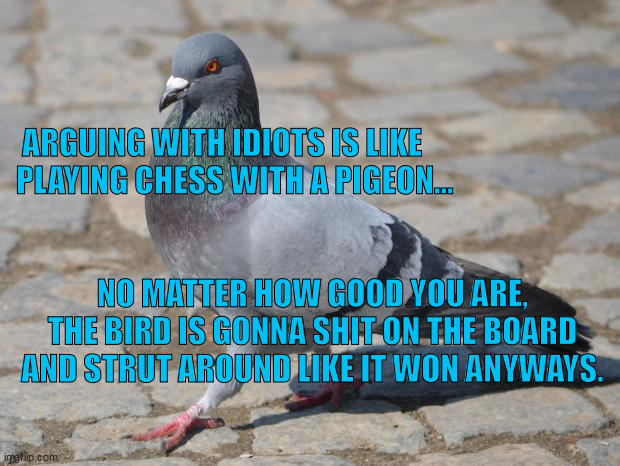 Pigeon | ARGUING WITH IDIOTS IS LIKE PLAYING CHESS WITH A PIGEON... NO MATTER HOW GOOD YOU ARE, THE BIRD IS GONNA SHIT ON THE BOARD AND STRUT AROUND LIKE IT WON ANYWAYS. | image tagged in pigeon | made w/ Imgflip meme maker