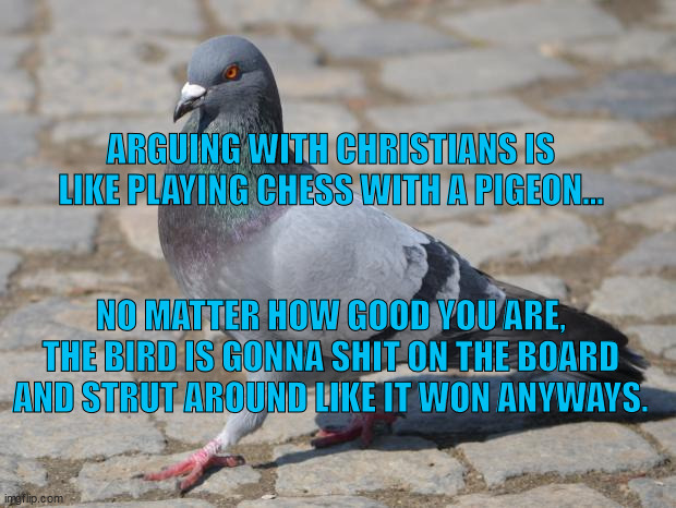 Pigeon | ARGUING WITH CHRISTIANS IS LIKE PLAYING CHESS WITH A PIGEON... NO MATTER HOW GOOD YOU ARE, THE BIRD IS GONNA SHIT ON THE BOARD AND STRUT AROUND LIKE IT WON ANYWAYS. | image tagged in pigeon | made w/ Imgflip meme maker