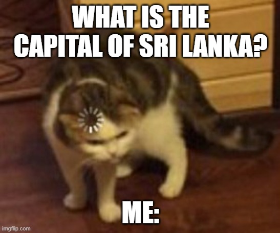 Loading cat | WHAT IS THE CAPITAL OF SRI LANKA? ME: | image tagged in loading cat | made w/ Imgflip meme maker