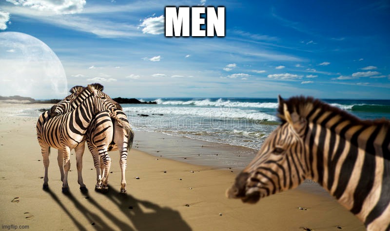 MEN: The Sequel to Man | MEN | image tagged in man,zebra,beach,juan | made w/ Imgflip meme maker