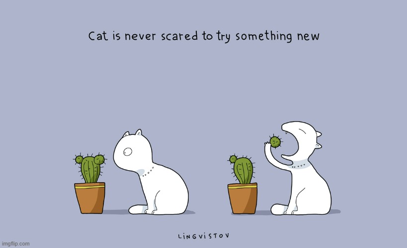 A Cat's Way Of Thinking | image tagged in memes,comics,cats,never,scared,a little something | made w/ Imgflip meme maker