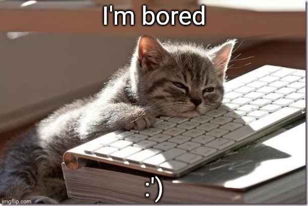 Bored Keyboard Cat | I'm bored; :') | image tagged in bored keyboard cat | made w/ Imgflip meme maker