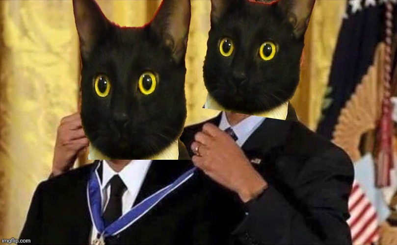 When you approve your own meme in the cats stream | image tagged in obama medal,business cat,raycat,approved | made w/ Imgflip meme maker