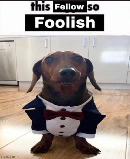 I’m bored | image tagged in this fellow is so foolish | made w/ Imgflip meme maker