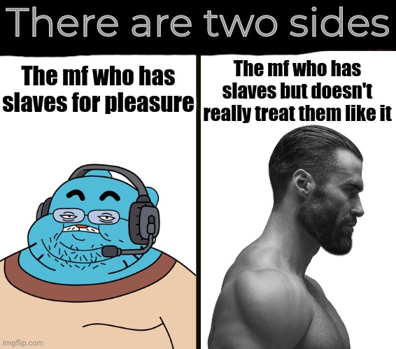 Which side are you?! | There are two sides; The mf who has slaves but doesn't really treat them like it; The mf who has slaves for pleasure | image tagged in youre fatherless for reading this,major l | made w/ Imgflip meme maker