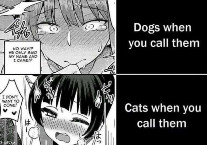 Good boy | image tagged in funny,memes,anime | made w/ Imgflip meme maker