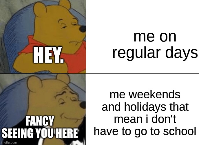 me be like | me on regular days; HEY. me weekends and holidays that mean i don't have to go to school; FANCY SEEING YOU HERE | image tagged in memes,tuxedo winnie the pooh | made w/ Imgflip meme maker