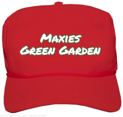 blank red MAGA hat | Maxies Green Garden | image tagged in blank red maga hat,maxi's green garden,slavic | made w/ Imgflip meme maker