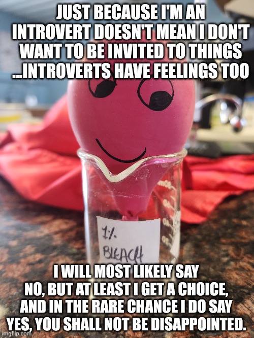 Introvert and invitations | JUST BECAUSE I'M AN INTROVERT DOESN'T MEAN I DON'T WANT TO BE INVITED TO THINGS
...INTROVERTS HAVE FEELINGS TOO; I WILL MOST LIKELY SAY NO, BUT AT LEAST I GET A CHOICE, AND IN THE RARE CHANCE I DO SAY YES, YOU SHALL NOT BE DISAPPOINTED. | image tagged in introvert | made w/ Imgflip meme maker