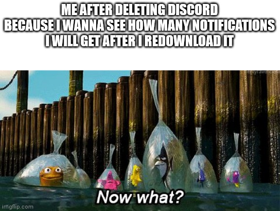 Posting it here bc this is the only place I can post it anonymously | ME AFTER DELETING DISCORD BECAUSE I WANNA SEE HOW MANY NOTIFICATIONS I WILL GET AFTER I REDOWNLOAD IT | image tagged in now what | made w/ Imgflip meme maker