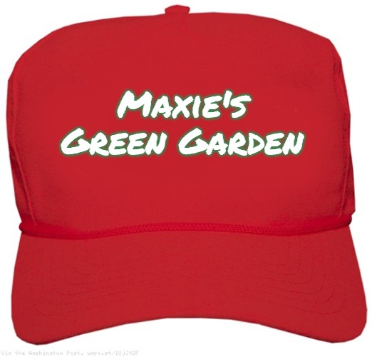 blank red MAGA hat | Maxie's Green Garden | image tagged in blank red maga hat,maxi's green garden,slavic | made w/ Imgflip meme maker
