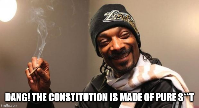 Snoop Dogg | DANG! THE CONSTITUTION IS MADE OF PURE S**T | image tagged in snoop dogg | made w/ Imgflip meme maker