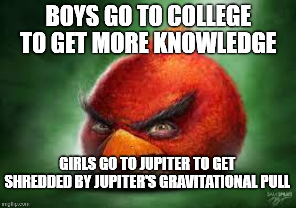Realistic Red Angry Birds | BOYS GO TO COLLEGE TO GET MORE KNOWLEDGE; GIRLS GO TO JUPITER TO GET SHREDDED BY JUPITER'S GRAVITATIONAL PULL | image tagged in realistic red angry birds | made w/ Imgflip meme maker