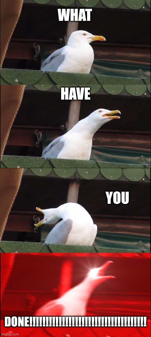 Inhaling Seagull | WHAT; HAVE; YOU; DONE!!!!!!!!!!!!!!!!!!!!!!!!!!!!!!!!!!!! | image tagged in memes,inhaling seagull | made w/ Imgflip meme maker