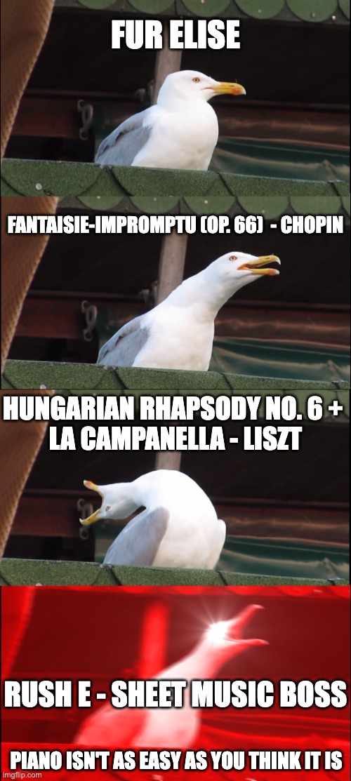Piano isn't as easy as you think | FUR ELISE; FANTAISIE-IMPROMPTU (OP. 66)  - CHOPIN; HUNGARIAN RHAPSODY NO. 6 + 
LA CAMPANELLA - LISZT; RUSH E - SHEET MUSIC BOSS; PIANO ISN'T AS EASY AS YOU THINK IT IS | image tagged in memes,inhaling seagull | made w/ Imgflip meme maker
