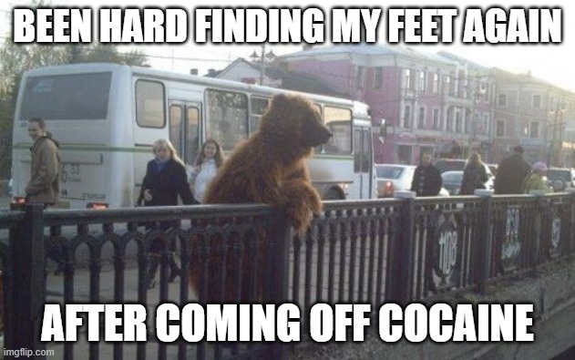 City Bear | BEEN HARD FINDING MY FEET AGAIN; AFTER COMING OFF COCAINE | image tagged in memes,city bear,cocaine,cocaine is a hell of a drug,cocaine bear | made w/ Imgflip meme maker