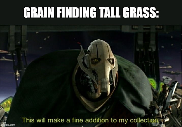 This will make a fine addition to my collection | GRAIN FINDING TALL GRASS: | image tagged in this will make a fine addition to my collection | made w/ Imgflip meme maker