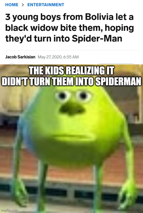 THE KIDS REALIZING IT DIDN'T TURN THEM INTO SPIDERMAN | image tagged in sully wazowski | made w/ Imgflip meme maker