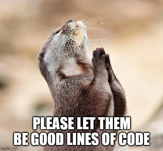 animal praying | PLEASE LET THEM BE GOOD LINES OF CODE | image tagged in animal praying | made w/ Imgflip meme maker