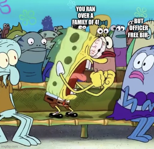 nah bro that was tuesdays gone was playing | YOU RAN OVER A FAMILY OF 4! BUT OFFICER FREE BIR- | image tagged in spongebob yelling | made w/ Imgflip meme maker