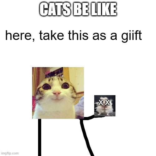 take this as a giift | CATS BE LIKE; X X | image tagged in take this as a giift,funny cat memes | made w/ Imgflip meme maker