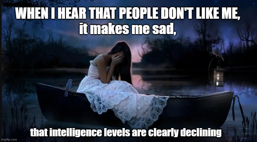 People don't like me? | it makes me sad, WHEN I HEAR THAT PEOPLE DON'T LIKE ME, that intelligence levels are clearly declining | image tagged in meme,smarterthan,dilligaf,idiocracy,luvpure | made w/ Imgflip meme maker