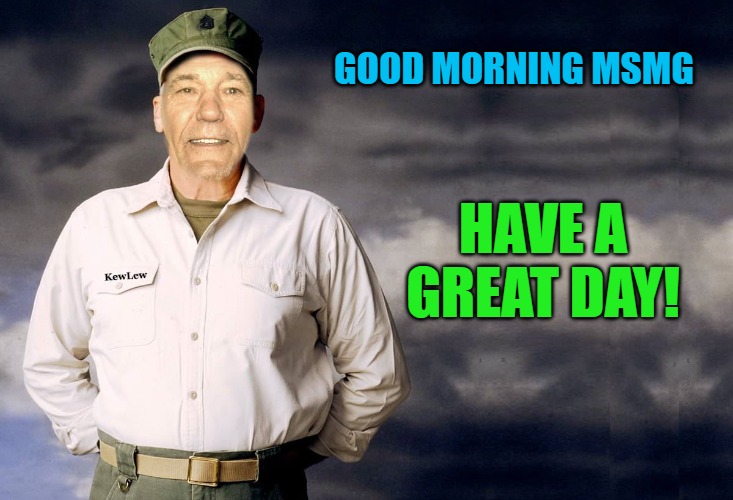 good morning! | GOOD MORNING MSMG; HAVE A GREAT DAY! | image tagged in kewlew,good morning | made w/ Imgflip meme maker