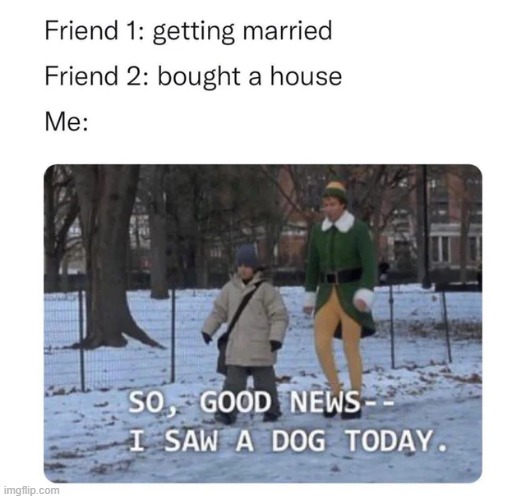 But it was nice! | image tagged in wholesome,wholesome content,friends,dogs,memes,funny | made w/ Imgflip meme maker