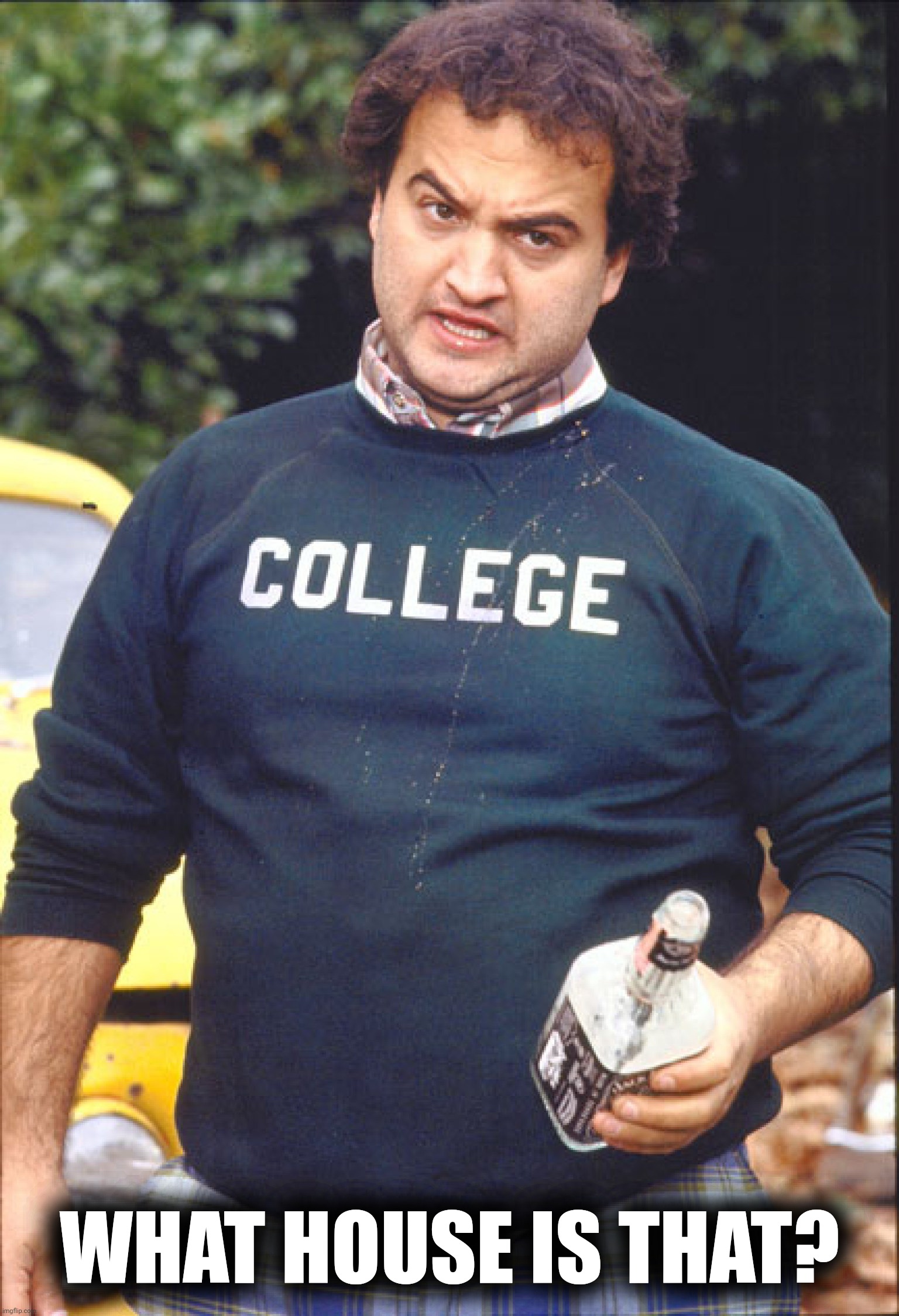 Animal House | WHAT HOUSE IS THAT? | image tagged in animal house | made w/ Imgflip meme maker