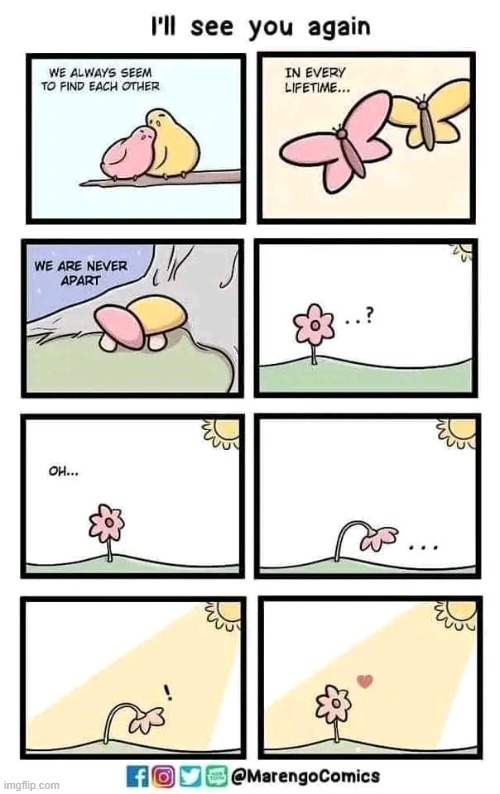 I'll see you again | image tagged in wholesome,wholesome content,comics,comics/cartoons,memes,funny | made w/ Imgflip meme maker