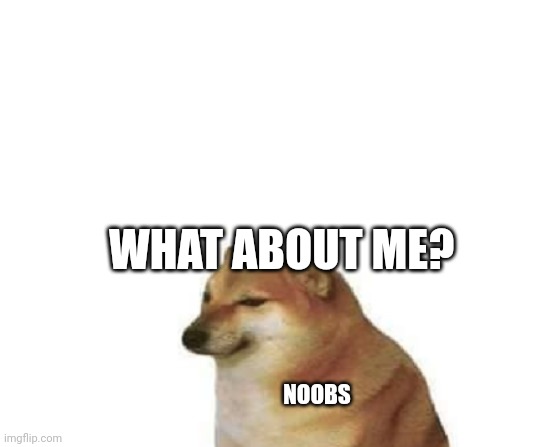 only small dog | WHAT ABOUT ME? NOOBS | image tagged in only small dog | made w/ Imgflip meme maker