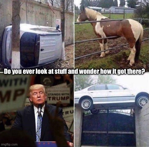 How did it get there? | Do you ever look at stuff and wonder how it got there? | image tagged in donald trump,trump | made w/ Imgflip meme maker