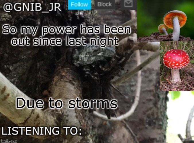 Hopefully it will get fixed | So my power has been out since last night; Due to storms | image tagged in gnib_jr's new temp | made w/ Imgflip meme maker
