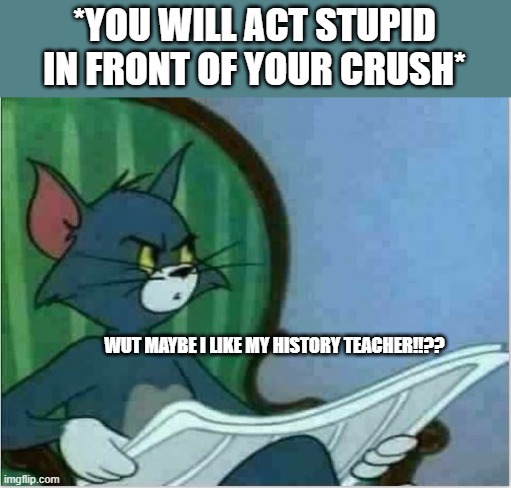 I like my history teacher!!! | *YOU WILL ACT STUPID IN FRONT OF YOUR CRUSH*; WUT MAYBE I LIKE MY HISTORY TEACHER!!?? | image tagged in crush | made w/ Imgflip meme maker