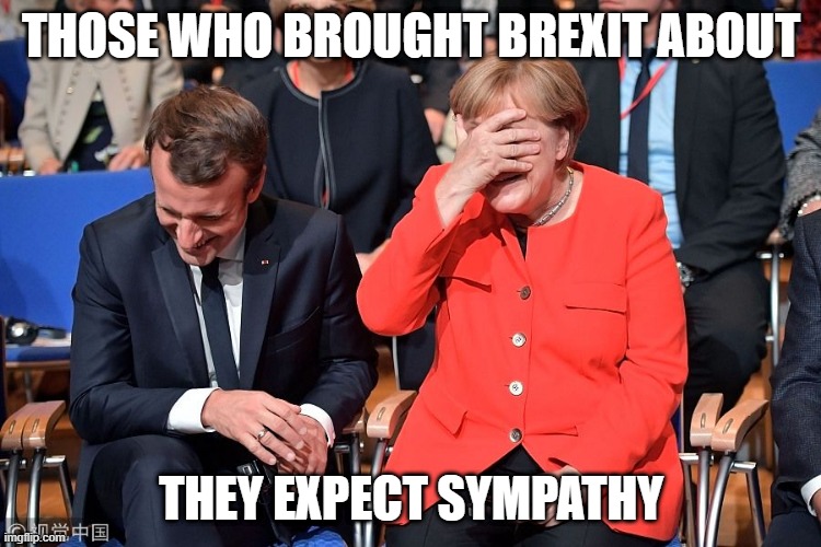 Macron Merkel laughing | THOSE WHO BROUGHT BREXIT ABOUT; THEY EXPECT SYMPATHY | image tagged in macron merkel laughing | made w/ Imgflip meme maker