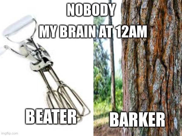 Lol | NOBODY; MY BRAIN AT 12AM; BEATER; BARKER | image tagged in peter parker,memes | made w/ Imgflip meme maker