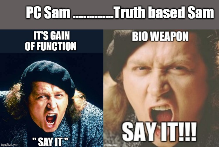 There it is | PC Sam ...............Truth based Sam | image tagged in pandemic,nwo | made w/ Imgflip meme maker