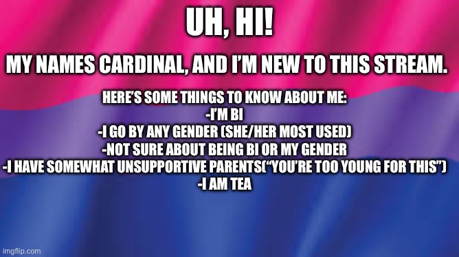 E | UH, HI! MY NAMES CARDINAL, AND I’M NEW TO THIS STREAM. HERE’S SOME THINGS TO KNOW ABOUT ME:
-I’M BI
-I GO BY ANY GENDER (SHE/HER MOST USED)
-NOT SURE ABOUT BEING BI OR MY GENDER
-I HAVE SOMEWHAT UNSUPPORTIVE PARENTS(“YOU’RE TOO YOUNG FOR THIS”)
-I AM TEA | made w/ Imgflip meme maker