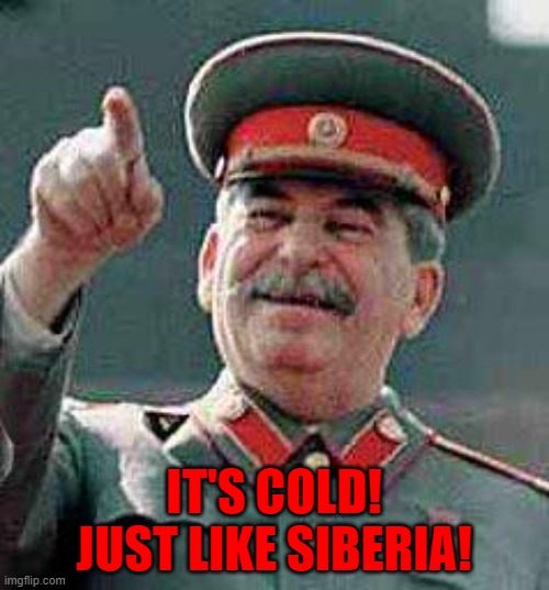 Stalin says | IT'S COLD! JUST LIKE SIBERIA! | image tagged in stalin says | made w/ Imgflip meme maker