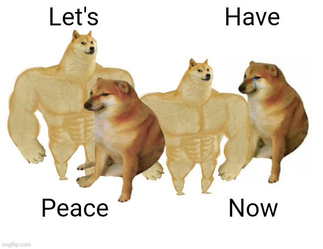 They made peace! | Let's; Have; Peace; Now | image tagged in memes,buff doge vs cheems | made w/ Imgflip meme maker