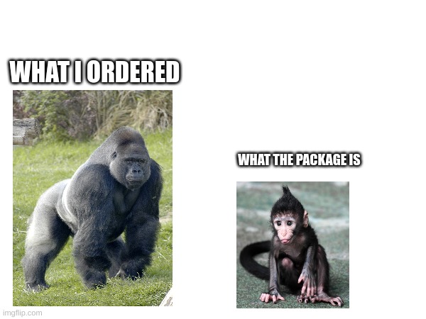 Meme | WHAT I ORDERED; WHAT THE PACKAGE IS | image tagged in package | made w/ Imgflip meme maker