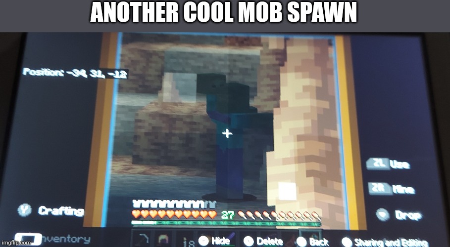 What is even the rarity of this??? | ANOTHER COOL MOB SPAWN | made w/ Imgflip meme maker