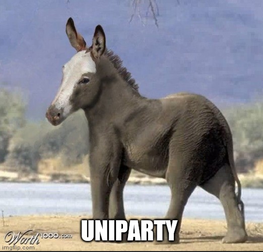 UNIPARTY | made w/ Imgflip meme maker