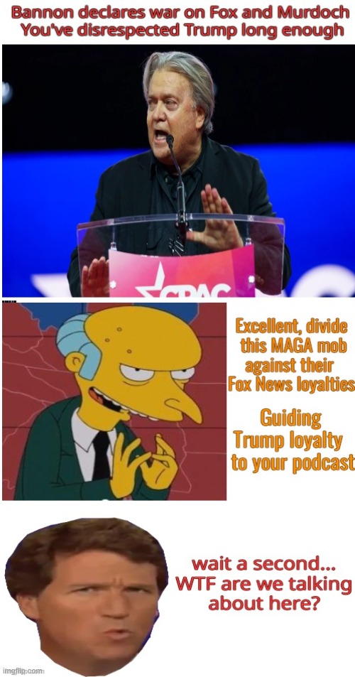 opportunistic parasite | image tagged in steve bannon,fox news,politics,maga,loyalty | made w/ Imgflip meme maker