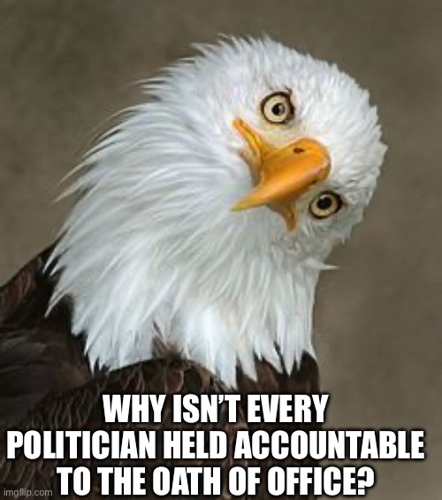 bald eagle tilt | WHY ISN’T EVERY POLITICIAN HELD ACCOUNTABLE TO THE OATH OF OFFICE? | image tagged in bald eagle tilt | made w/ Imgflip meme maker