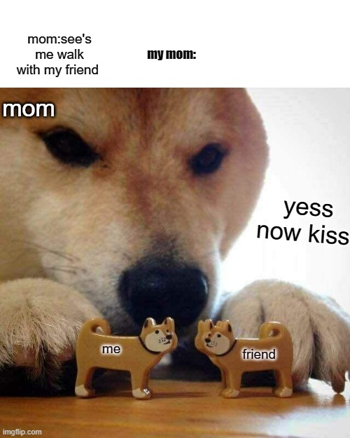dog now kiss  | my mom:; mom:see's me walk with my friend; mom; yess now kiss; me; friend | image tagged in dog now kiss | made w/ Imgflip meme maker