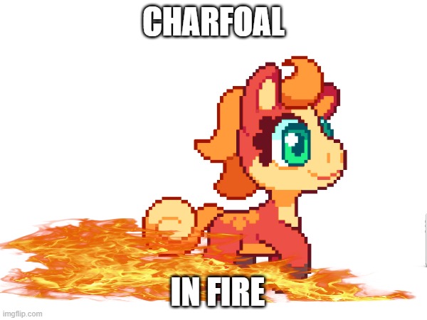 charfoal | CHARFOAL; IN FIRE | image tagged in fun | made w/ Imgflip meme maker