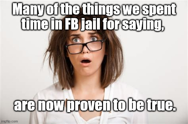 factchect that | Many of the things we spent time in FB jail for saying, are now proven to be true. | image tagged in truth | made w/ Imgflip meme maker